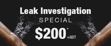 Leak Investigation Discount Belmont